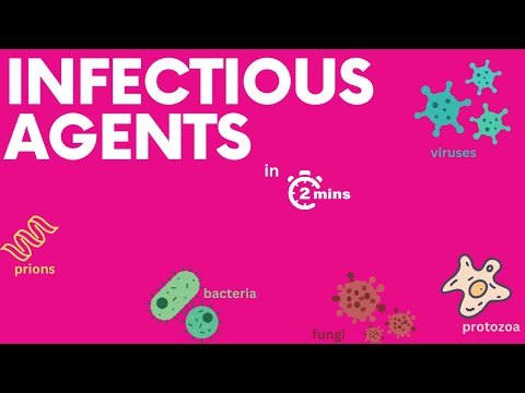 Video: Var betyder smittsam sjukdom?