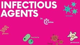 Infectious diseases in 2 minutes!