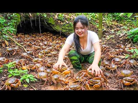 Harvesting 999+ Giant Rock Crabs on the Cliff & Go to Market Sell — Daily Life with Disabled Sister