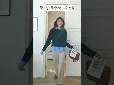   한국 여자 직장인 출근룩 국룰 Shorts Lookbook 룩북 패션