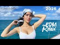 Tropical Night Lounge 🌌 | Deep Chill EDM & Melodic Beats for Relax & Focus #5
