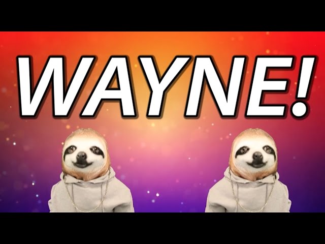 HAPPY BIRTHDAY WAYNE! - SLOTH HAPPY BIRTHDAY RAP