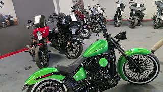 Greenland Bike .... Neighbor Green W Envy