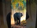 #ai। #elephant #pakshi #forest