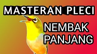 MASTERAN PLECI NEMBAK PANJANG, materi cepat masuk | suara pleci.