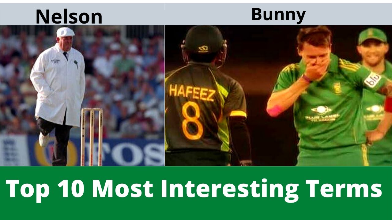 Top 10 Most Interesting Terms Used In Cricket EXPLAINED YouTube