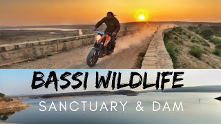 Bassi wildlife 🐆 Sanctuary🐊 & Bassi Dam 😎🤙
