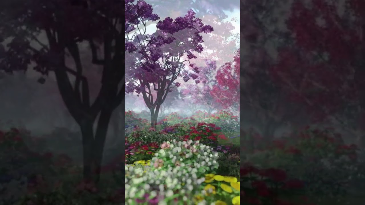Obejrzyj Beautiful Nature HD Short Video 720p HD #asmr #naturesounds w YouTube Obejrzyj Beautiful Nature HD Short Video 720p HD #asmr #naturesounds w YouTube