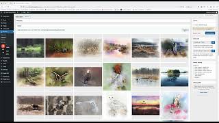 Add images to Modula Gallery