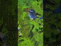 Semilla ÉPICA en Minecraft 🤯⛰️