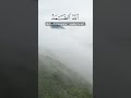 Abdul Basit Surah Al Ikhlas Shorts 