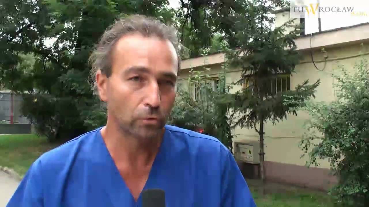 Schronisko dla bezdomnych zwierząt Wrocław