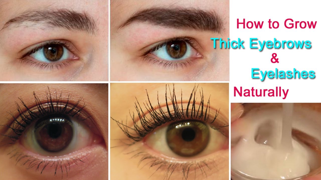 How to Grow Thick Eyebrows and Eyelashes Naturally | Eyelash and