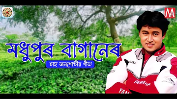 MADHUPUR BAGANER | ZUBEEN GARG | MANAS ROBIN | SAJAN NAYAK | TEA TRIBE SONG | BAGANIYA SONG 2022