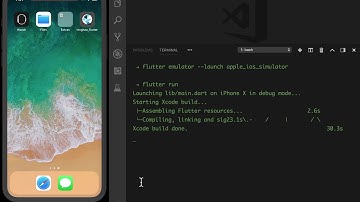 Flutter 中文教程：00-08-运行 Flutter 项目（iOS 模拟器）