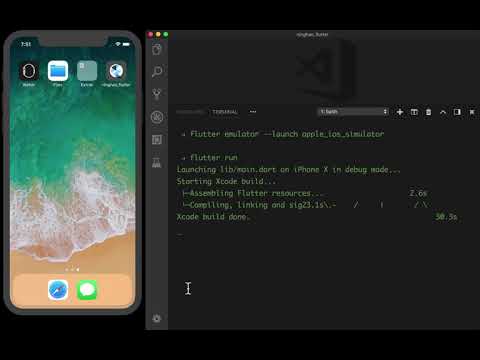 Flutter 中文教程：00-08-运行 Flutter 项目（iOS 模拟器）