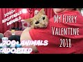 MY FURRY VALENTINE 2018 VLOG (MEGA - ADOPTION RESCUE EVENT)