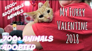 MY FURRY VALENTINE 2018 VLOG (MEGA - ADOPTION RESCUE EVENT)
