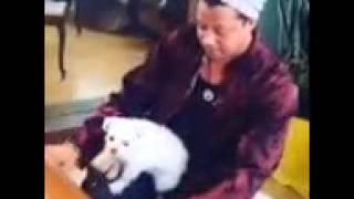 Terrence Howard & Puppy Shrimp Jam on Piano