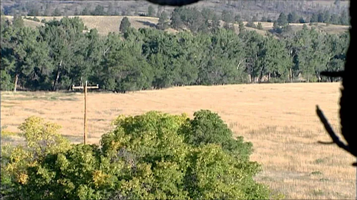 Realtree Outdoors - Wyoming 7J