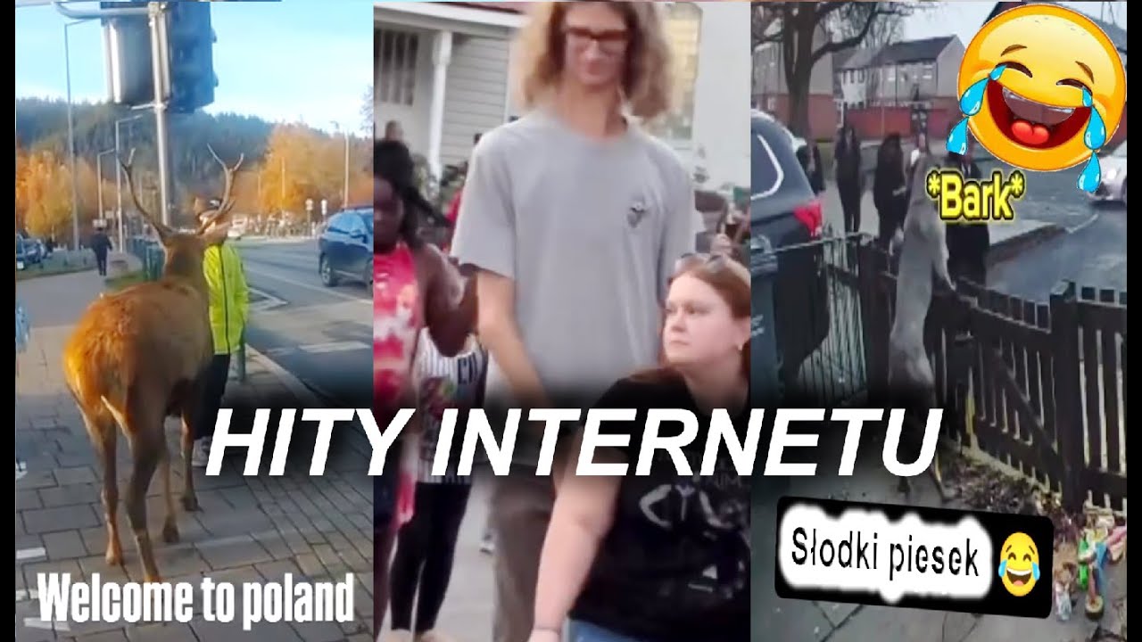 Śmieszne Filmy🤣 Uwaga tylko mocne filmy🔴MUSISZ TO ZOBACZYĆ😱 