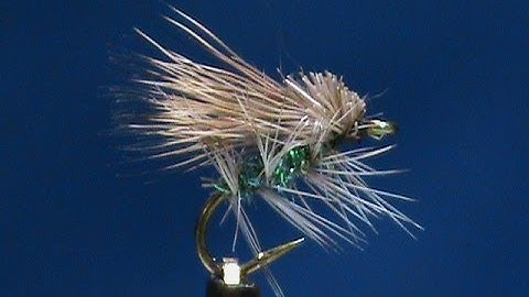Brginner Fly Tying a Peacock GSS Caddis with Jim Misiura