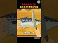 自分を魚だと信じ、息と泳ぎを覚えた少年