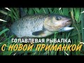 Голавлевая рыбалка с новой приманкой. Тестирую воблер на малой реке