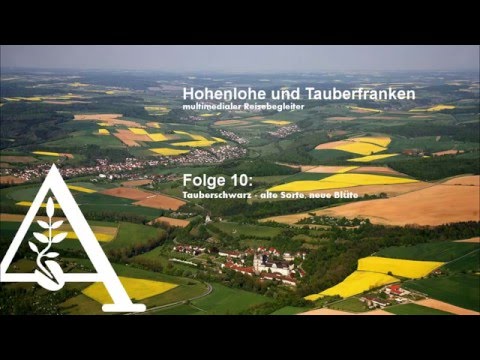 Video: Neue Blütezeit