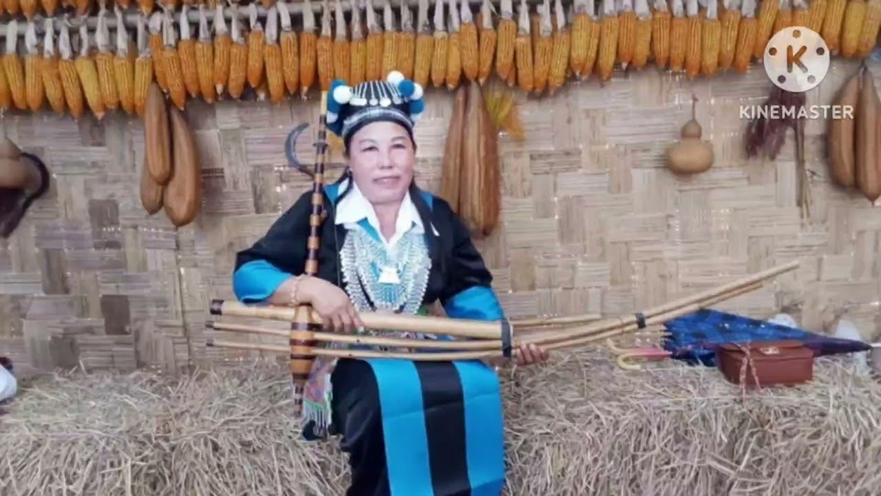 xis xyooj kwv txhiaj nyab tsis hlub niam pog tu siab rau ib tug niam tsev 