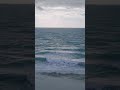 🌊