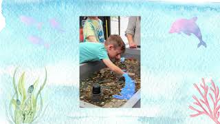 Aquarium on Wheels at the Thousand Oaks Library