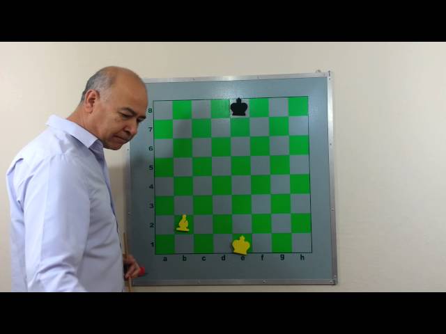 A Tática Fatal! #chess #chesstok #xadrez #xeque #XequeMate #Tatica