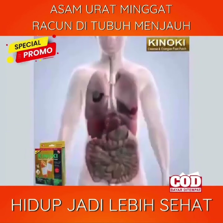 Kenali Manfaat Luar Biasa Kinoki Detox Koyo