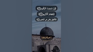 سورة الدخان الآية ٤٣ الى ٥٠ بصوت الشيخ محمد صديق المنشاوي