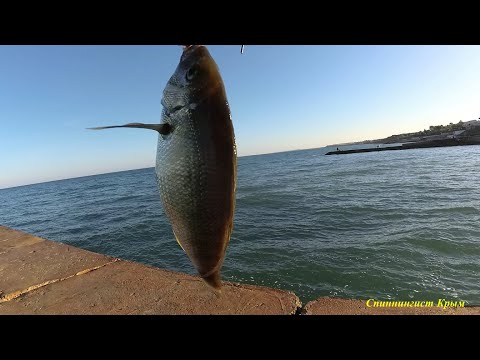 Видео: Морская рыбалка. Ласкирь.