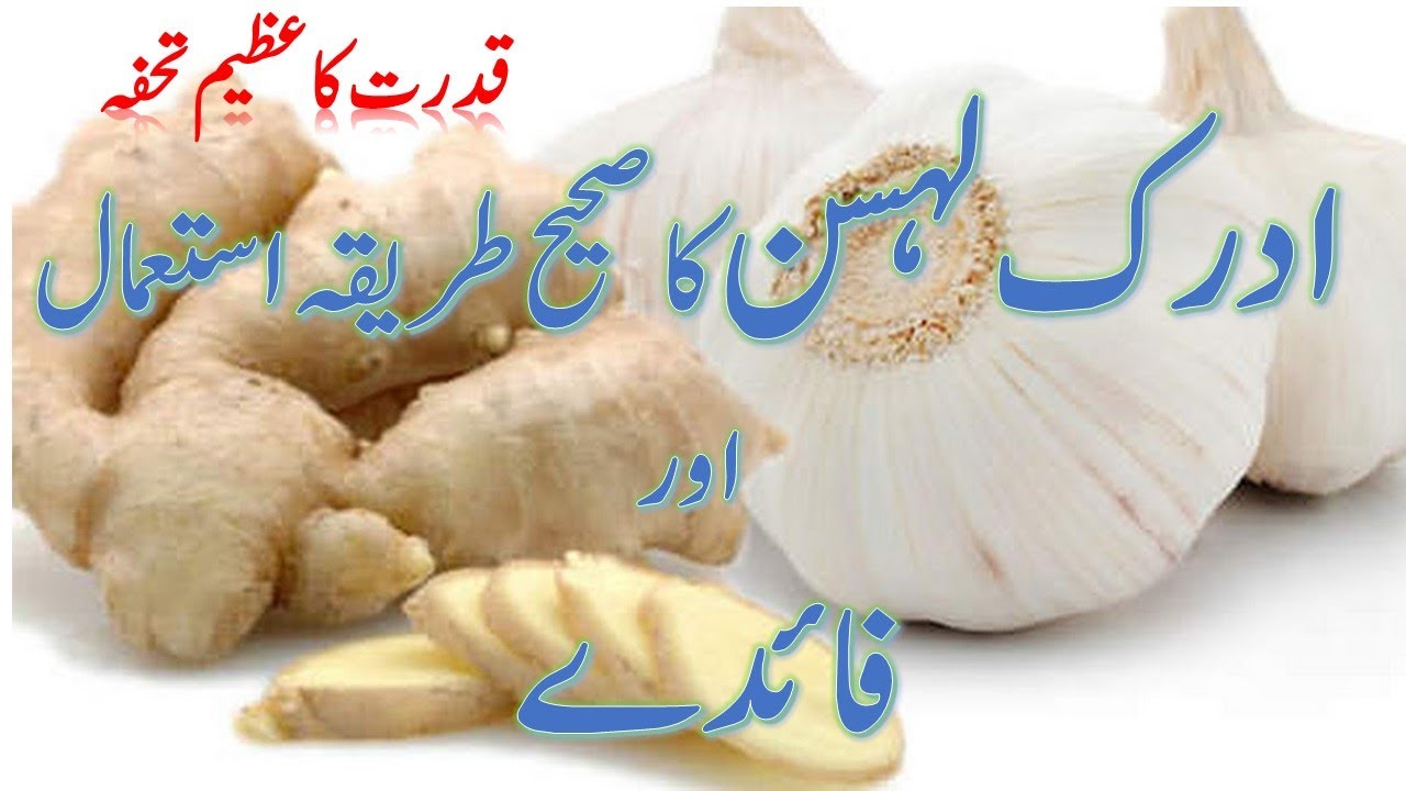 Benefits of Ginger & garlic // lesan aur adrak k fayde // YouTube
