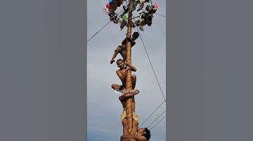 Bocah hampir jatuh saat ikut lomba panjat pinang #bocah #lomba #panjatpinang #lucu #viral #komedi