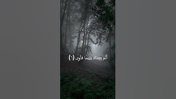 ---🎧 ولَسَوفَ يُعْطِيكَ رَبُّكَ فَتَرضى | تلاوة خاشعة لماهر المعيقلي 🍃 #القرآن_الكريم #تلاوة_خاشعة