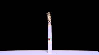 Cigarette - Timelapse