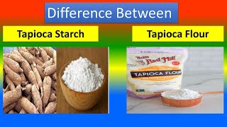 Difference between Tapioca Starch and Tapioca and Flour
