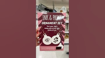 🌟Christmas Pet gift @target dollarspot 🌟