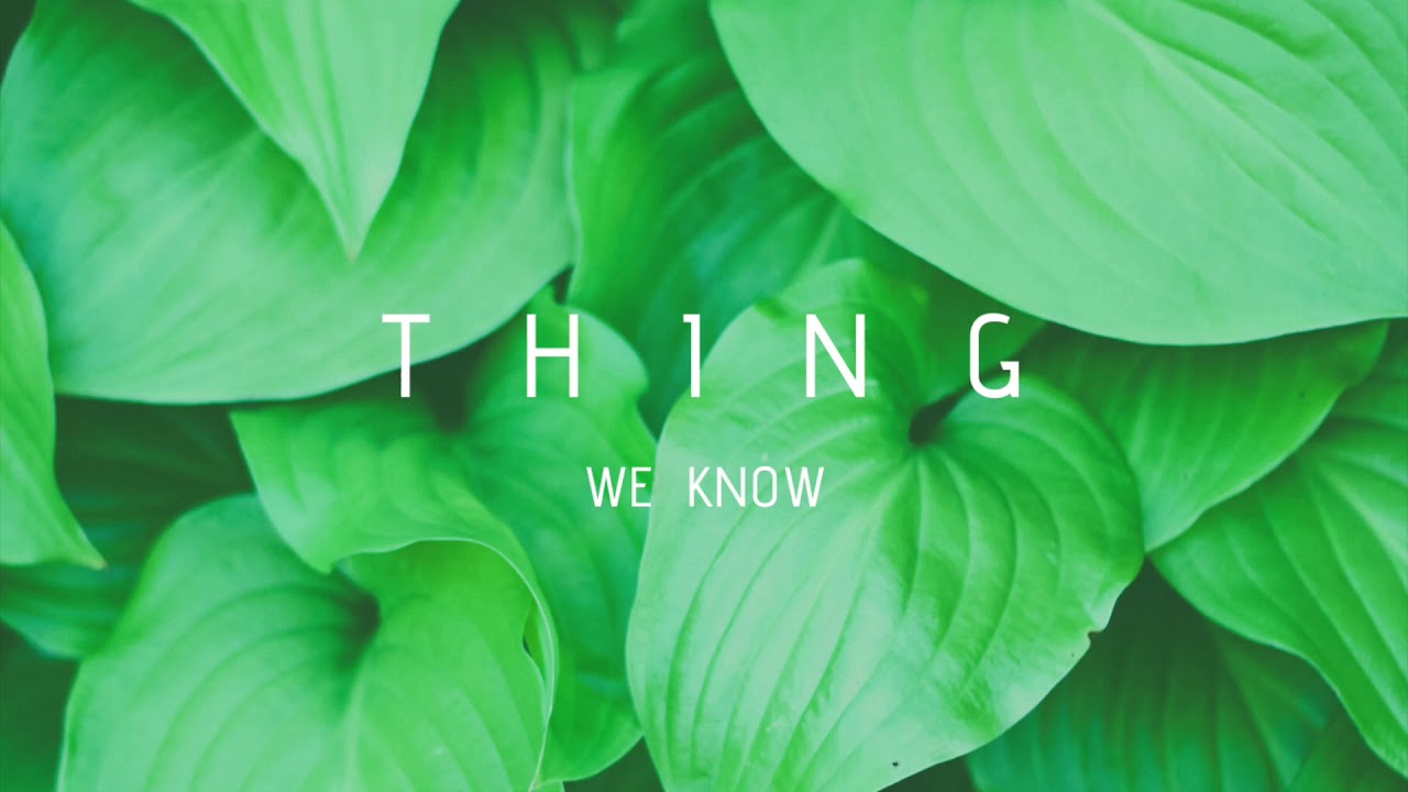 Thing - We Know (Dubthing Records)