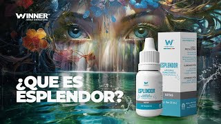 Qué Es Esplendor?