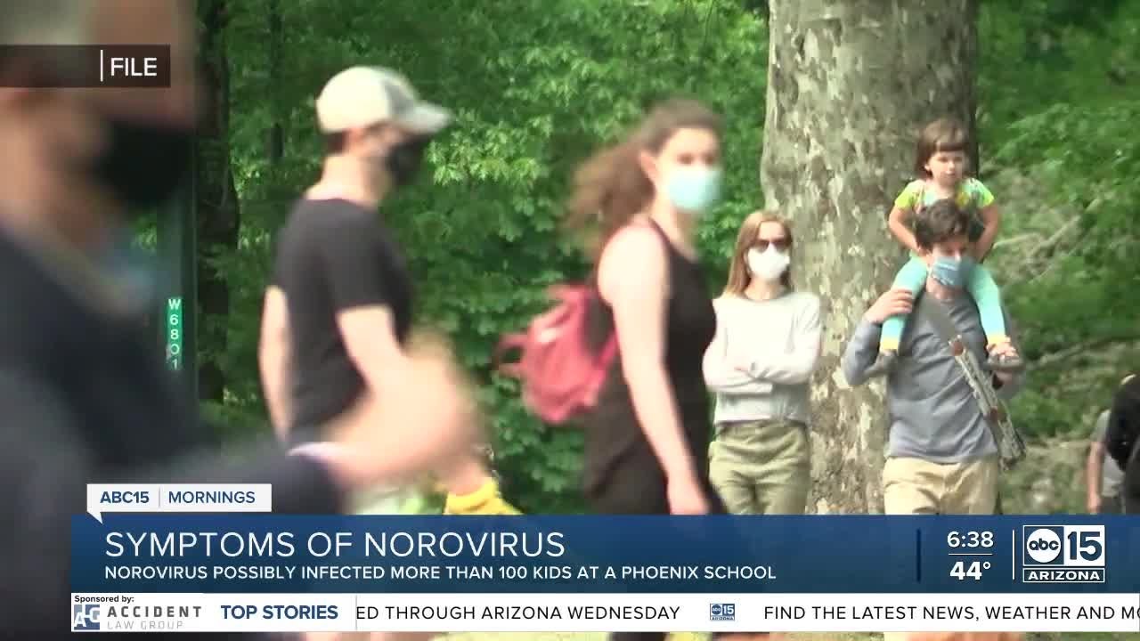 Looking at norovirus spread and symptoms - YouTube
