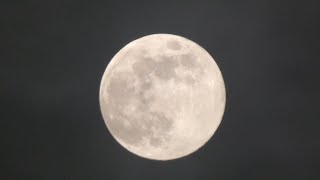 Wolf Moon First Full Moon Of 2025 in 4k