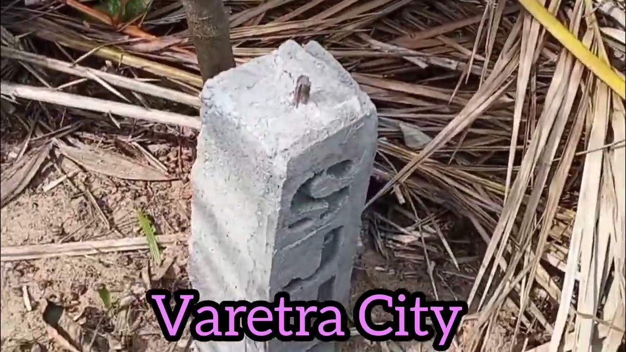 Обследование прибрежной территории заказчика.