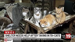 72 cats, 3 dogs rescued from Ashtabula County ‘biohazard’ hoarding: ACAPL