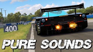 The pure sounds of the new LMP1, LMP2, GT1 and GT2 cars at Sebring - Automobilista 2