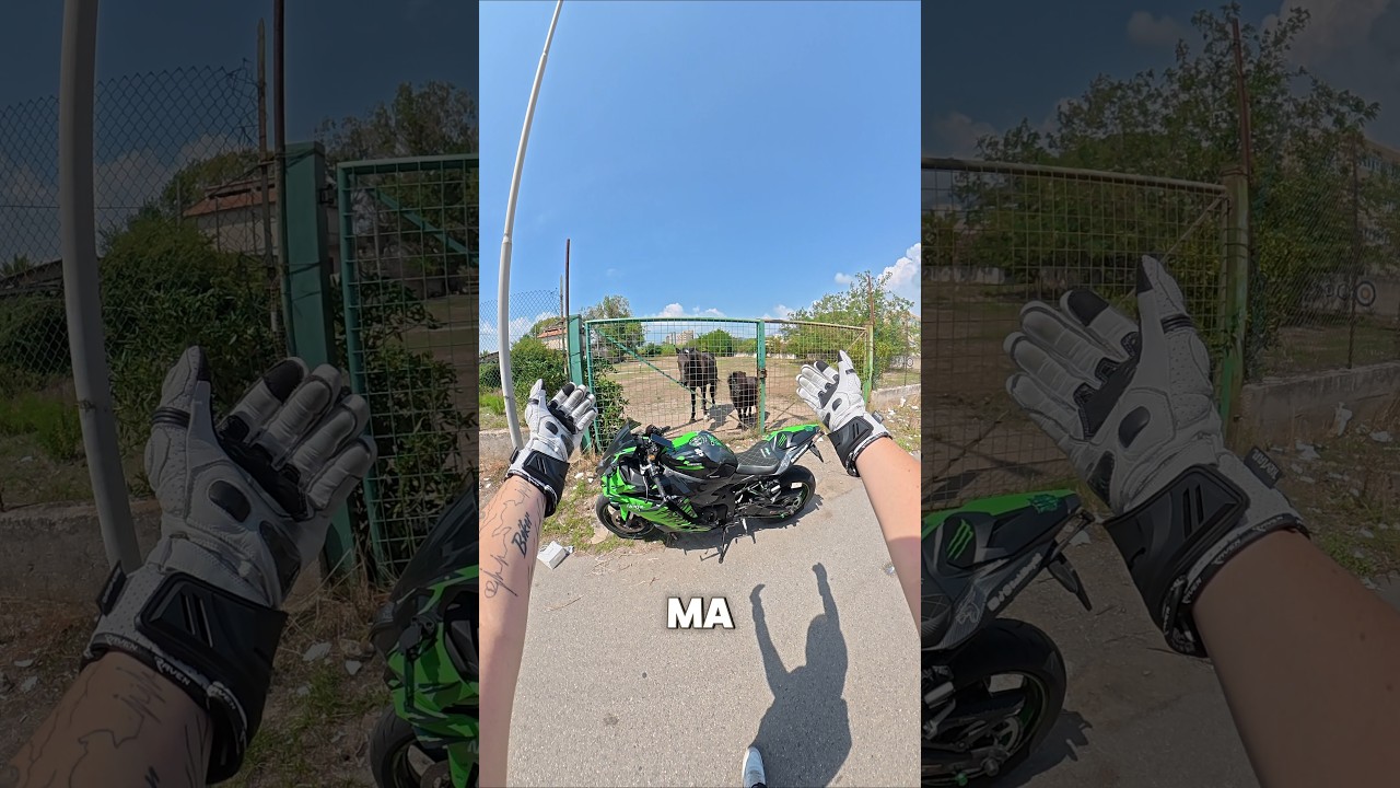 vi avevo promesso che saremmo ritornati dai nostri amici #moto #motorcycle #hourse #vlog #motovlog